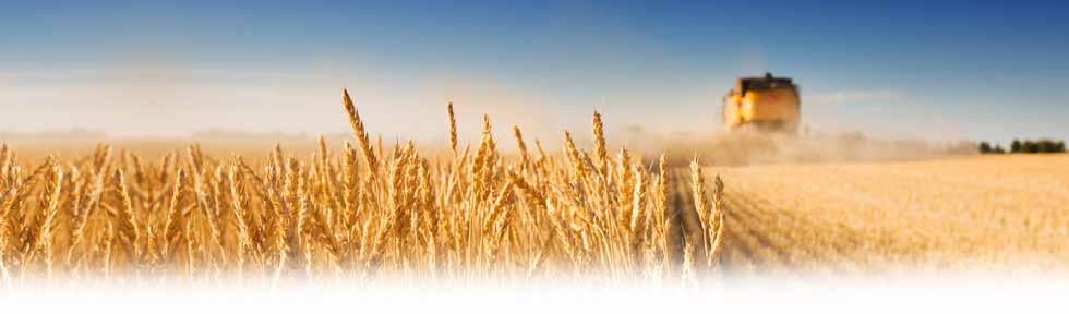 нова вживана сільськогосподарська техніка запасні частини ремонт машин Польща